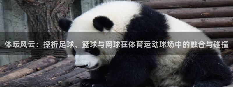 oety欧亿体育官网下载平台注册流程视频：体坛风云：