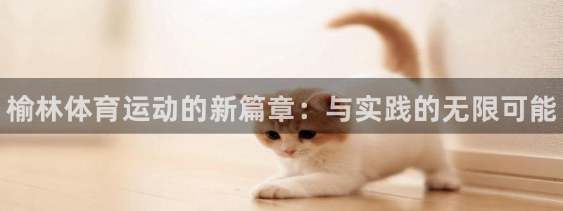 oety欧亿体育官网下载是干嘛的公司：榆林体育运动的