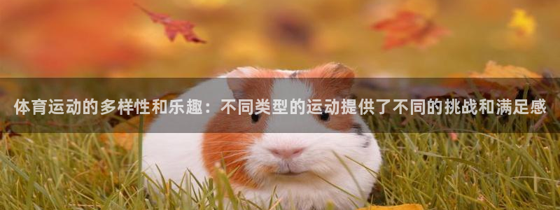 欧亿体育官方正版app五金厂：体育运动的多样性和乐趣