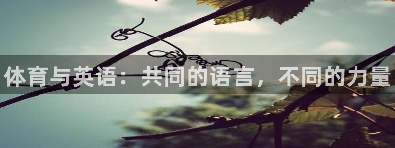 海南oety欧亿体育官网下载发展怎么样：体育与英语：共同的语