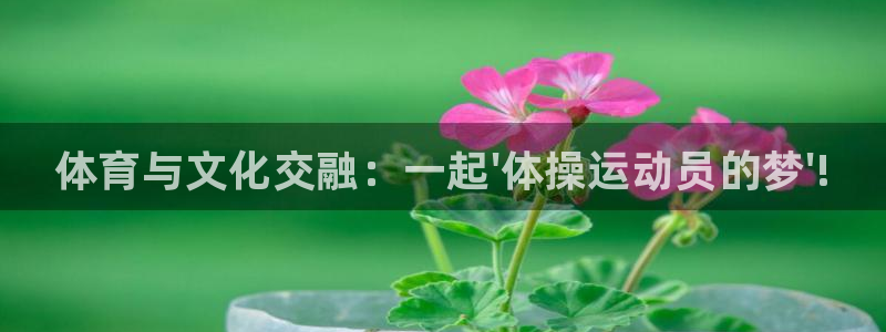 海南oety欧亿体育官网下载：体育与文化交融：一起\