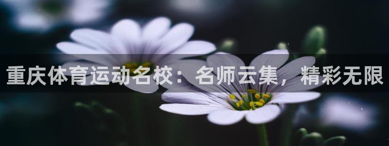 海南oety欧亿体育官网下载：重庆体育运动名校：名师云集，精
