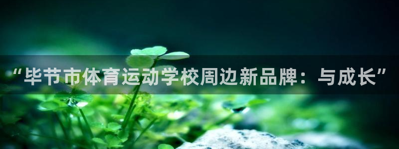 欧亿体育官方正版app娱乐代理怎么样：“毕节市体育运