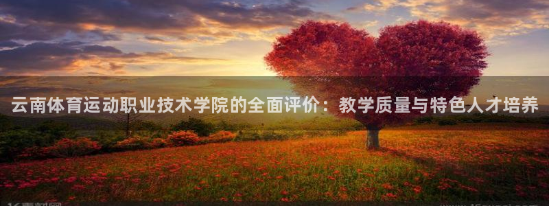 oety欧亿体育官网下载平台是正规平台吗知乎：云南体育运动职