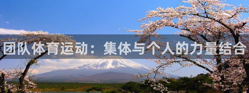 欧亿体育官方正版app集团官网首页：团队体育运动：集