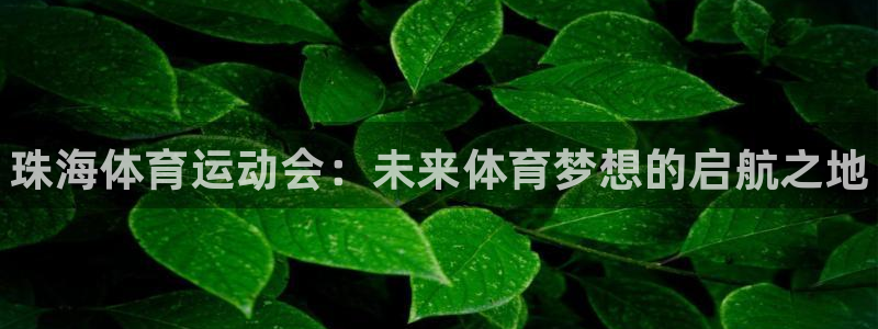 欧亿体育官方正版app官网：珠海体育运动会：未来体育