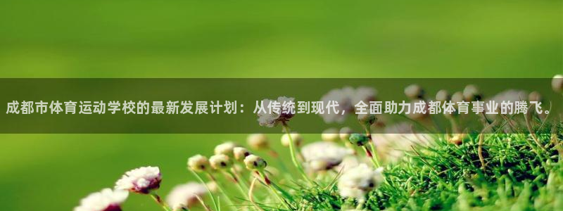 oety欧亿体育官网下载招商：成都市体育运动学校的最新发展计