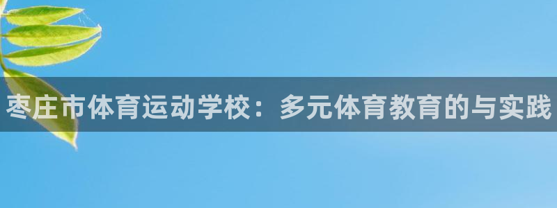 oety欧亿体育官网下载招商电话地址查询：枣庄市体育运动学校