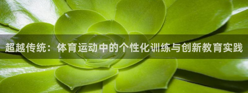oety欧亿体育官网下载平台是正规平台吗安全吗：超越传统：体