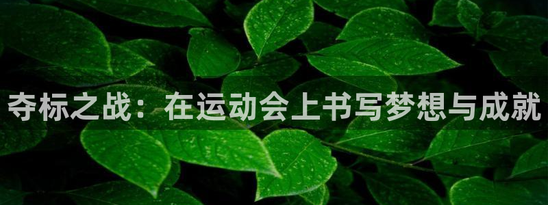 欧亿体育官方正版app集团官网首页网址：夺标之战：在运动会上