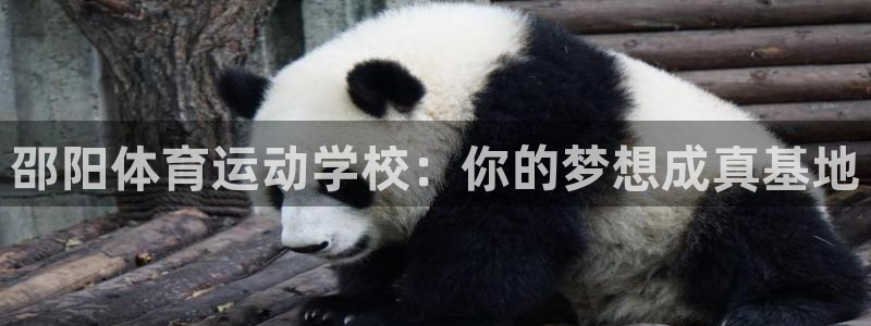 oety欧亿体育官网下载平台注册：邵阳体育运动学校：你的梦想
