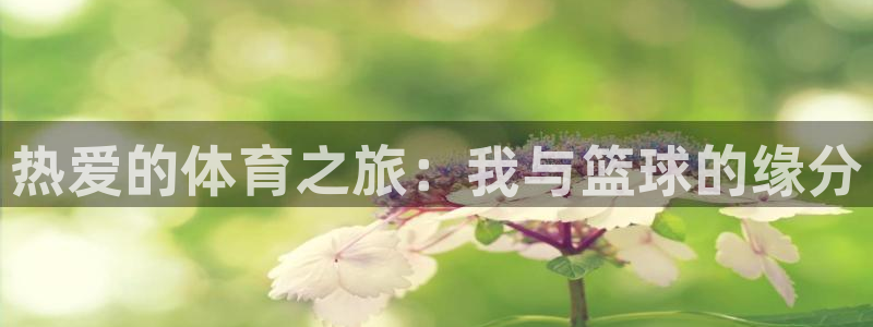 欧亿体育官方正版app集团官网首页：热爱的体育之旅：