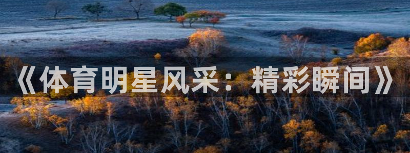 oety欧亿体育官网下载招商电话地址查询：《体育明星