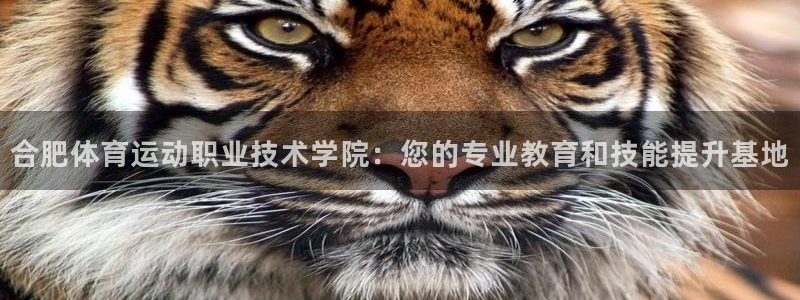oety欧亿体育官网下载平台APP:合肥体育运动职业技术学院