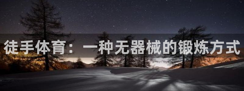 欧亿体育官方正版app代理:徒手体育:一种无器械的锻炼方式