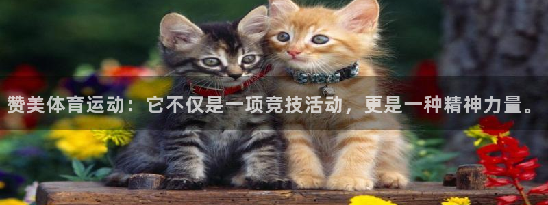 欧亿体育官方集团官网:赞美体育运动:它不仅是一项竞技活动,更